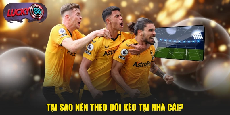 Tại sao nên theo dõi kèo tại nhà cái?
