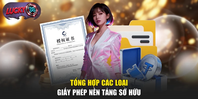 Tổng hợp các loại giấy phép nền tảng sở hữu